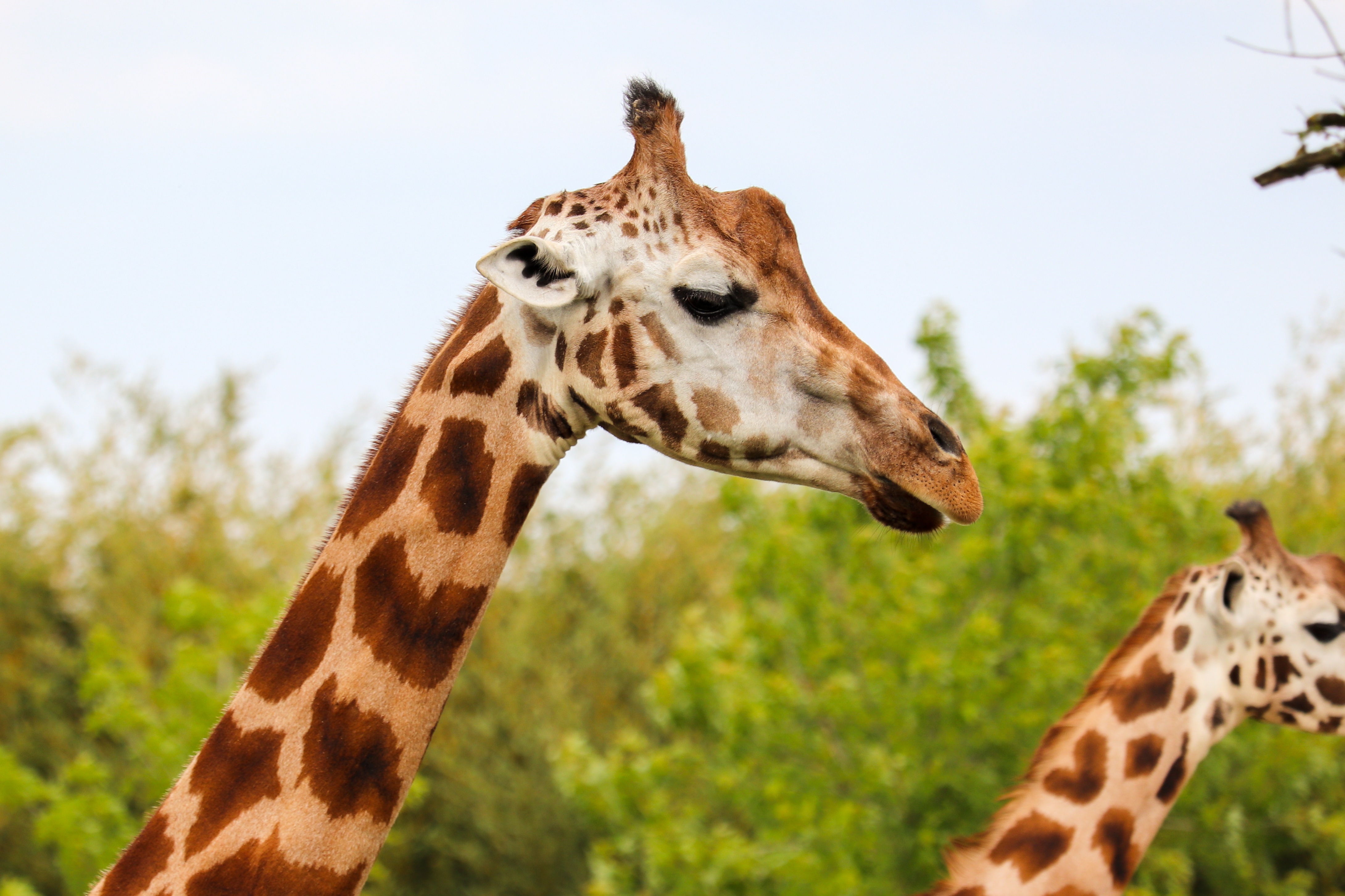 5-Day Kenya Honeymoon Safari